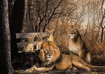 Lion and lioness with 3 cubs