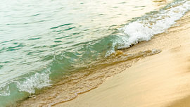 Turquoise Ocean Wave Crashing on Golden Sand Beach by Milcho Milev