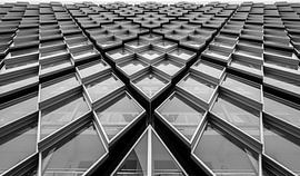 Windows sur Liesbeth van Herten