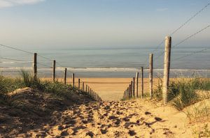 Chemin de la plage