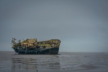 Ballyhack shipwreck van Peter Bijsterveld