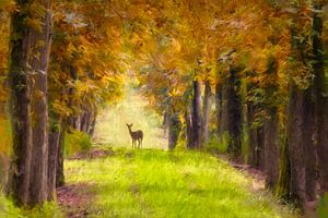 Gemalte Hirsche im Nationalpark Hoge Veluwe