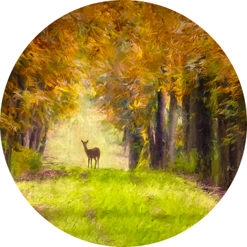 Geschilderd hert in nationaal park de Hoge Veluwe van Arjen Roos