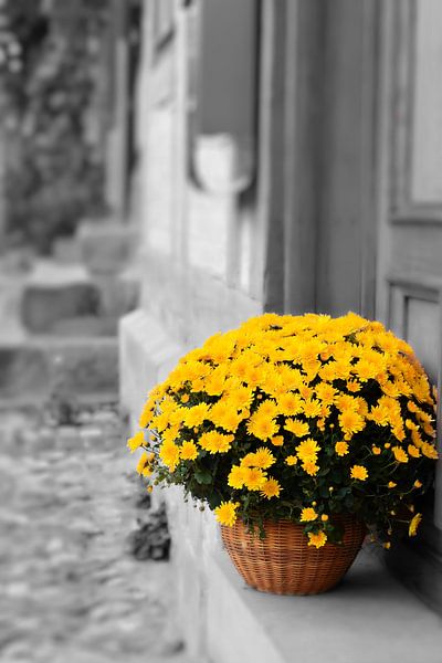 blühende Blumen in einem Korb als Dekoration vor einem Hauseingang von Heiko Kueverling