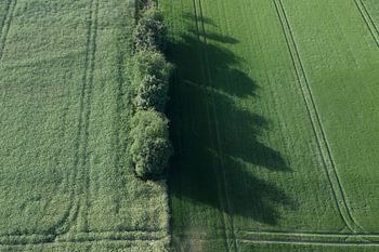A clean line in green