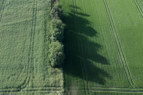 Une ligne nette dans la verdure