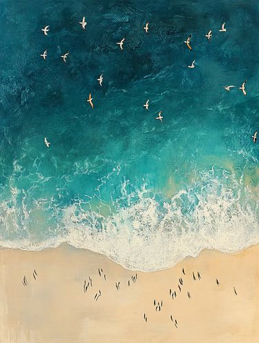 Vleugels boven de kust