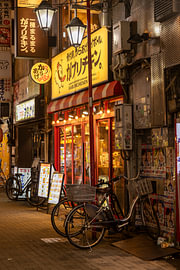 Neon-Nächte in Japan von Judith van Wijk