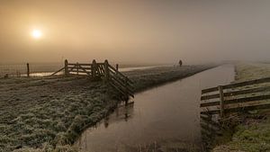 Promenade du chien dans le brouillard par une froide matinée d'hiver