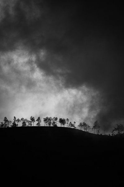 Foggy Hill van Insolitus Fotografie
