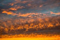 Ganzen steken af tegen door de zon gekleurde wolken