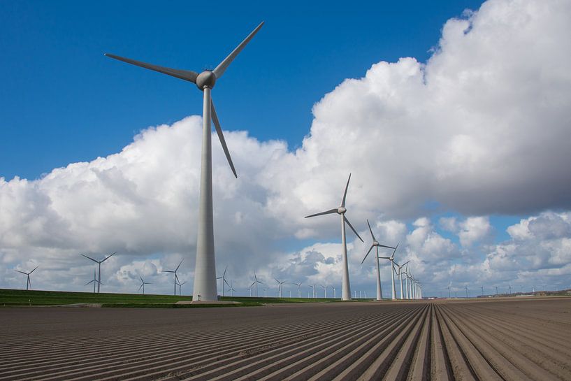 Windmolens in Holland par Wim Kanis