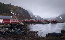 Nusfjord, en Norvège', dans l'archipel des Lofoten, dégage un charme tout particulier avec son atmosphère rustique sur PhotoCluster