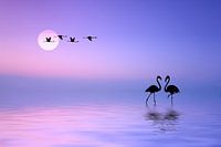 Vliegende flamingo