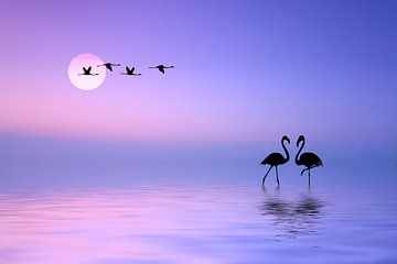 Flying Flamingo by Bess Hamiti