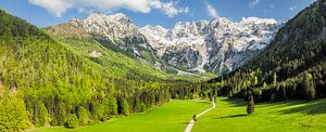 Luftaufnahme des Tals von Zgornje Jezersko im Frühling