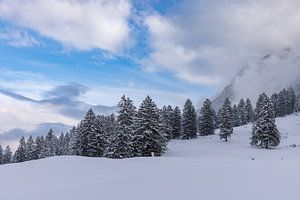 Verträumte Winterlandschaft im Werdenfelser Land, Garmisch-Partenkirchen