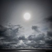 Slikken en schorren van NoordBeveland