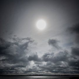 Vasières et marais salés de North Beveland