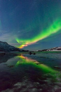 Noorderlicht of poollicht boven Senja in Noord Noorwegen van Sjoerd van der Wal