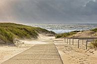 Strand Julianadorp in einem Sturm von eric van der eijk Miniaturansicht