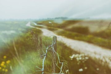 Field path from back then by Karin van Bylevelt