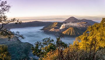 Zonsopkomst bij de Bromo vulkaan op Java, Indonesië van Reis Genie