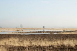 Minimalistische Landschaft im Nebel