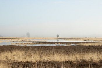 Minimalist landscape in the mist