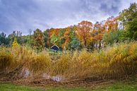 Herbstliche Landschaft von Eriks Photoshop by Erik Heuver Miniaturansicht