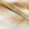 Plant Abstract III by Claire van Dun