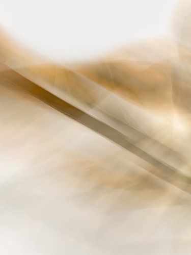 Pflanze Abstrakt III