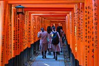 Pfad der Gebete - Studenten gehen durch Torii-Tore in Kyoto