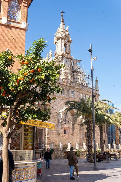 Orangenbaum vor dem Mercat Central in Valencia von Iseline Visser