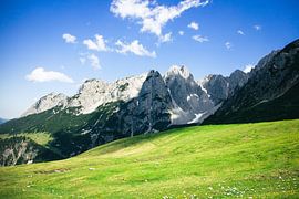Alpine - 11 by The world up close