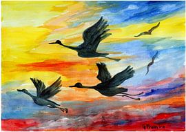 Kraniche bei Sonnenaufgang von Gertrud Premke