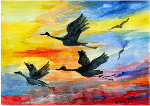 Kraanvogels bij zonsopgang