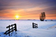 Paysage d'hiver avec des champs enneigés au coucher du soleil par Sjoerd van der Wal Photographie Aperçu