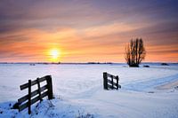 Winter landscape with snowy fields during sunset