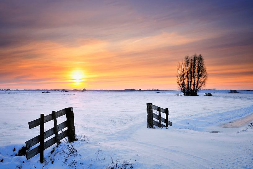 Paysage d'hiver avec des champs enneigés au coucher du soleil par Sjoerd van der Wal Photographie