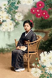 Echoes of Japan