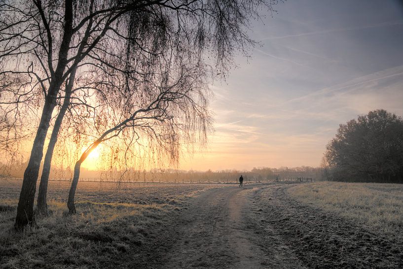 Paysage d'hiver par Marloes van Pareren