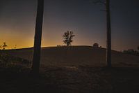 Coucher de soleil dans les dunes