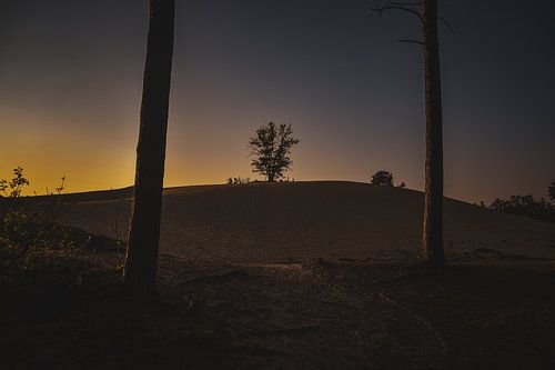 Zonsondergang in de duinen