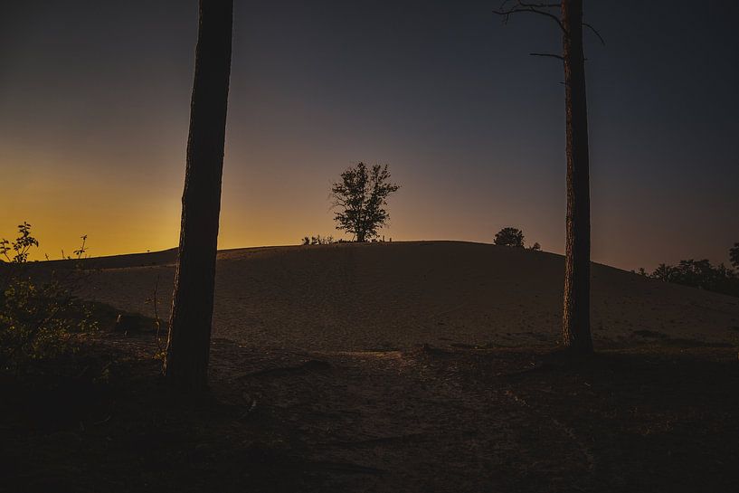 Coucher de soleil dans les dunes par Geert Van Baelen