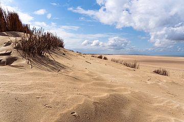 Duinen