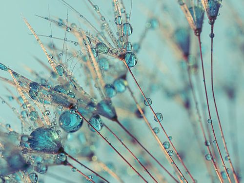 Druppeltjes op een pluizenbol