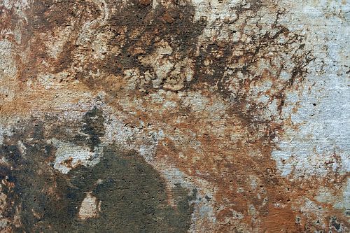 Rostig von Wies Steenaard