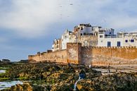 Essaouira (Maroc) par Stijn Cleynhens Aperçu