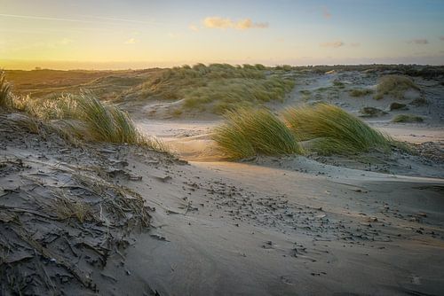 Licht en schaduw in Hollands duin